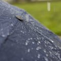 photo pluie parapluie