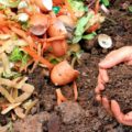 compost