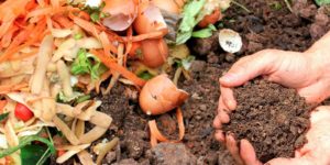 compost