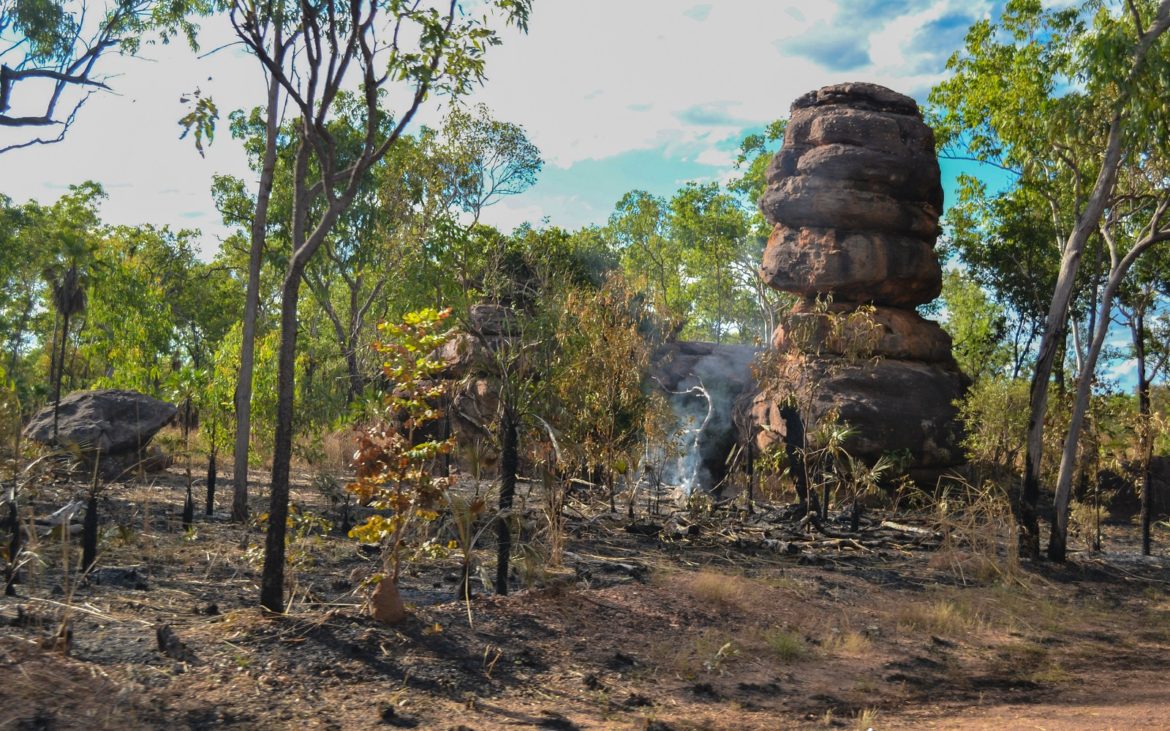 Feu de bush en Australie du Nord