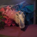rhinocéros Sudan Zoo Art Show