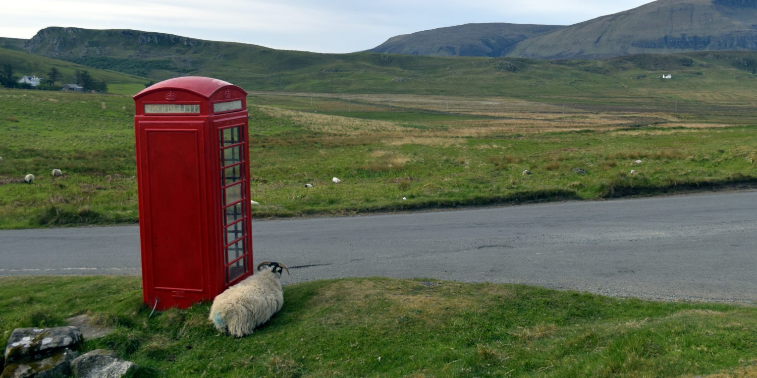 Mouton devant une cabine téléphonique en Ecosse